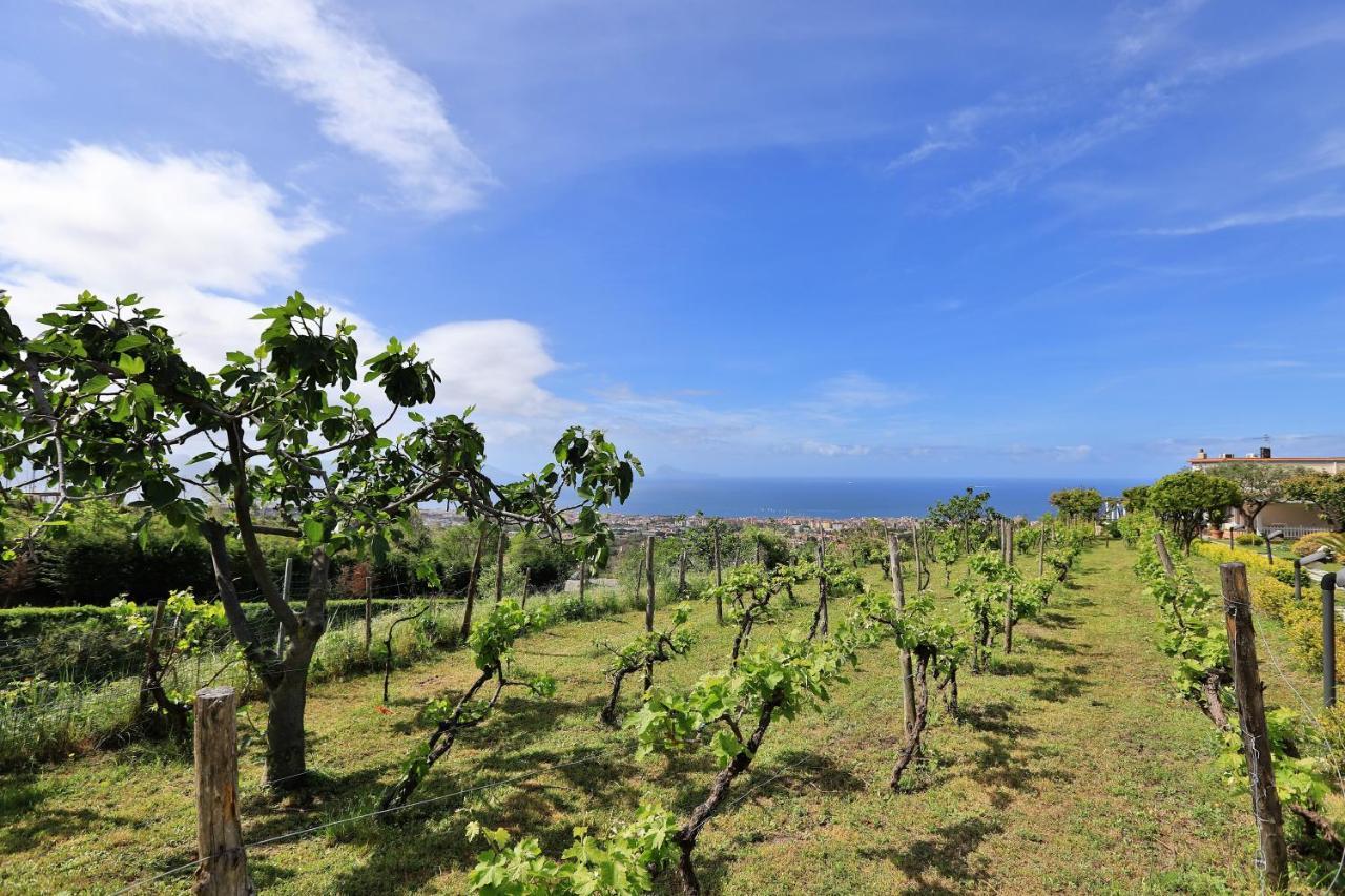 Tenuta Le Fornacelle Torre del Greco Ngoại thất bức ảnh