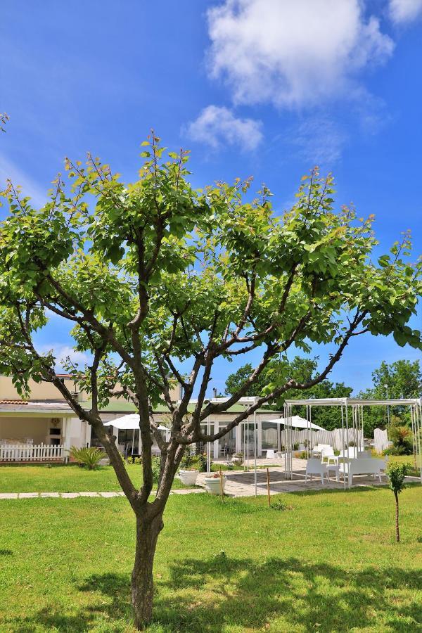 Tenuta Le Fornacelle Torre del Greco Ngoại thất bức ảnh